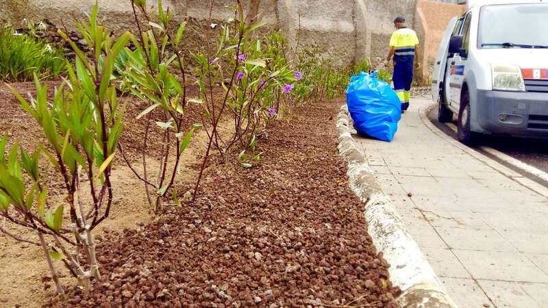 Las brigadas de podadores, por su parte, continúan actuando en San Gregorio (Foto TA)